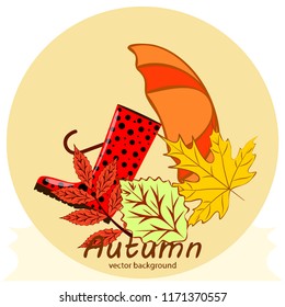 fallen leaf umbrella rubber boot autumnal vector background