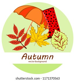 fallen leaf umbrella rubber boot autumnal vector background
