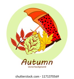fallen leaf umbrella rubber boot autumnal vector background