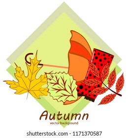 fallen leaf umbrella rubber boot autumnal vector background