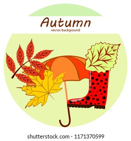 fallen leaf umbrella rubber boot autumnal vector background