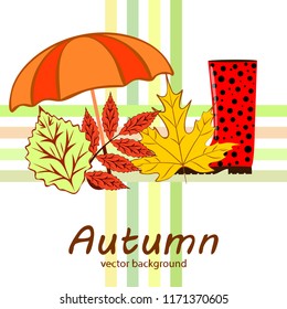 fallen leaf umbrella rubber boot autumnal vector background
