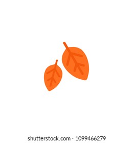 Fallen leaf vector flat icon