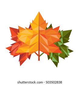 fallen leaves