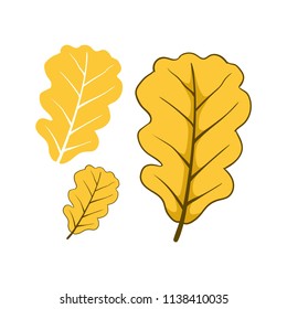 Fallen leaves autumn