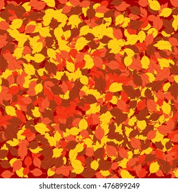 Fallen Leaves Autumn Background
