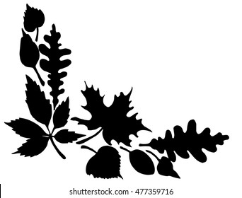 Fallen leaves. Autumn. Frame leaf. Angle. Line art. Drawing by hand. Doodle.