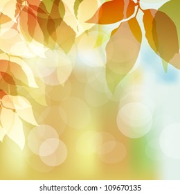 fallen leaves background