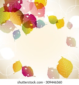 fallen leaves background