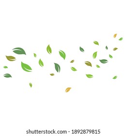 fallen leaves and bowing  wind vector illustration design template