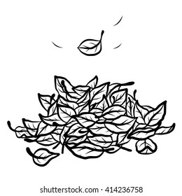 fallen leaves / cartoon vector and illustration, black and white, hand drawn, sketch style, isolated on white background.