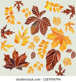 Fallen leaves collection pattern. Vector illustration.