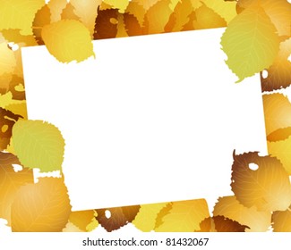fallen leaves frame