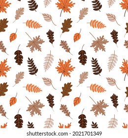 Fallen leaves pattern. Bothnian autumn pattern with fallen leaves of trees on a white background. autumn background. Vector illustration in flat style for wrapping paper, textile printing, blogs