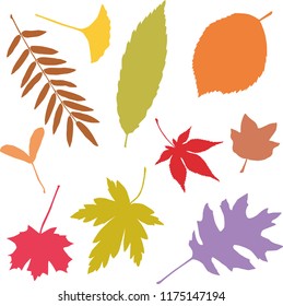 Fallen leaves pattern & textile  design. Seamless pattern with autumn various maple leaves. Vector illustration design source