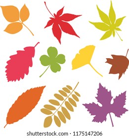 Fallen leaves pattern & textile  design. Seamless pattern with autumn various maple leaves. Vector illustration design source