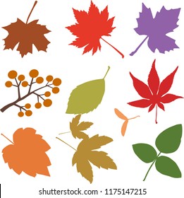 Fallen leaves pattern & textile  design. Seamless pattern with autumn various maple leaves. Vector illustration design source