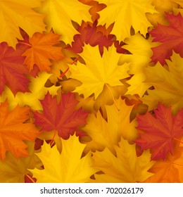 Fallen maple autumn leaves on the ground. Vector autumn background.