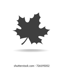 Fallen maple leaf. Black on white vector icon
