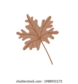 A fallen maple leaf.Autumn foliage. Vector illustration.