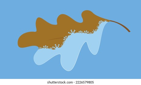 Fallen oak leaf half in water
