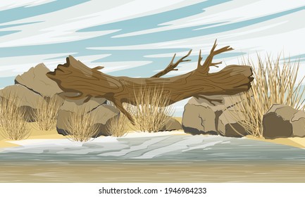 Árbol caído sobre dos piedras sobre un lago de arena y costas arenosas. Un puente troncal de árbol sobre el lago. Paisaje vectorial realista