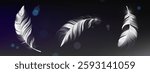 Falling 3d feather collection on dark transparent background with blue bokeh elements. White detailed plumage from different angles. Realistic bird quills with highlights. Elegant floating objects.