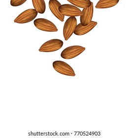 Falling Almonds Vector.