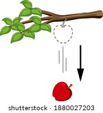 Falling apple for gravity experiment illustration