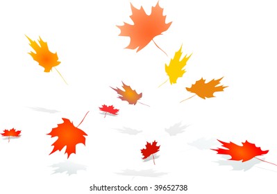 Falling Autumn Leaves