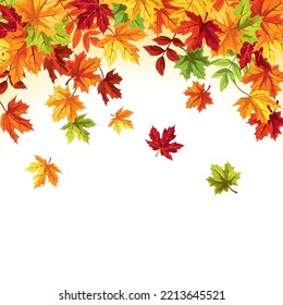 Falling autumn leaves. Background frame with colorful autumn leaves. Greeting or invitation card design. Vector illustration