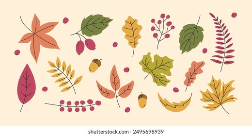 Falling Autumn leaves collection. Falling leaf maple, acorns, berries, oak. Design element. Abstract Cute modern seasonal illustration. Autumnal floral background