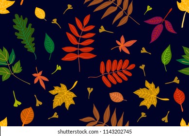 Falling autumn leaves. Colorful leaves on dark background. Seamless panoramic vector pattern with botanical motifs.