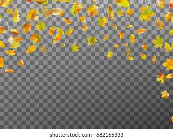 Falling autumn leaves. Flying autumn leaves background. And also includes EPS 10 vector