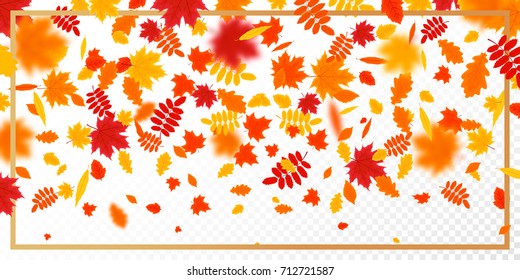 Autumn Falling Leaves Pattern On Transparent Stock Vector (Royalty Free ...