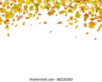 Falling autumn leaves. Maple autumn falling leaves, isolated on white background. And also includes EPS 10 vector