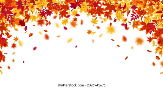 Falling autumn leaves. Nature background with red, orange, yellow foliage. Flying leaf. Season sale. Vector illustration.