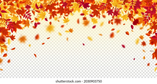 Fallende Herbstblätter. Naturhintergrund mit rotem, orangefarbenem, gelbem Blattwerk. Fliegendes Blatt. Saisonverkauf. Vektorgrafik.