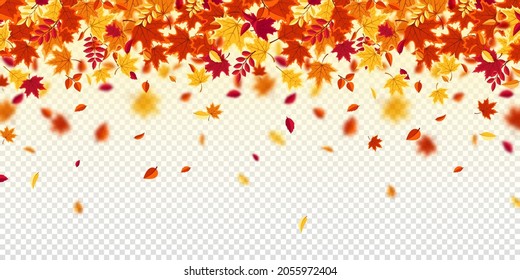 Falling autumn leaves. Nature background with red, orange, yellow foliage. Flying leaf. Season sale. Vector illustration.