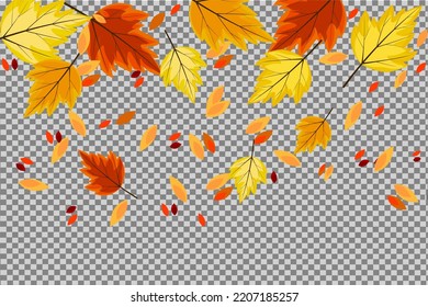Falling autumn leaves on a transparent background. Bright pattern with yellow falling leaves. Layout for design. Vector illustration
