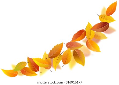 Falling autumn leaves on white background, vector illustration