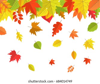 falling autumn leaves on white background
