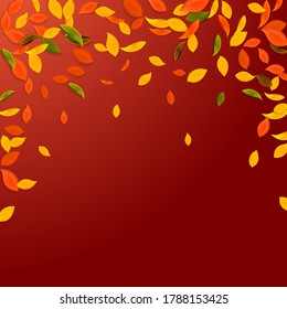 Falling autumn leaves. Red, yellow, green, brown chaotic leaves flying. Falling rain colorful foliage on great red background. Authentic back to school sale.