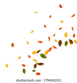 Falling autumn leaves. Red, yellow, green, brown chaotic leaves flying. Corner colorful foliage on glamorous sunset background. Bold back to school sale.