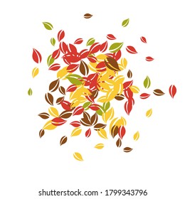 Caer hojas de otoño. Hojas caóticas rojas, amarillas, verdes y marrones volando. El follaje colorido de la explosión sobre un fondo blanco tentador. Negrita de vuelta a la venta escolar.