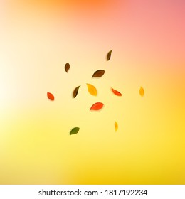 Falling autumn leaves. Red, yellow, green, brown random leaves flying. Explosion colorful foliage on classic white background. Authentic back to school sale.