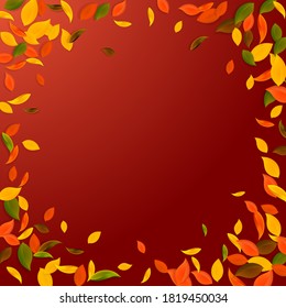 Falling autumn leaves. Red, yellow, green, brown chaotic leaves flying. Vignette colorful foliage on pleasing red background. Brilliant back to school sale.