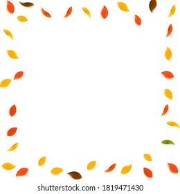 Falling autumn leaves. Red, yellow, green, brown random leaves flying. Frame colorful foliage on terrific sunset background. Authentic back to school sale.