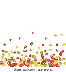 Falling autumn leaves. Red, yellow, green, brown chaotic leaves flying. Gradient colorful foliage on ravishing white background. Awesome back to school sale.