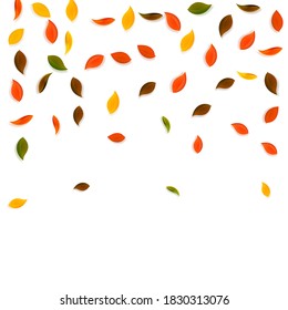 Falling autumn leaves. Red, yellow, green, brown random leaves flying. Falling rain colorful foliage on extraordinary sunset background. Breathtaking back to school sale.